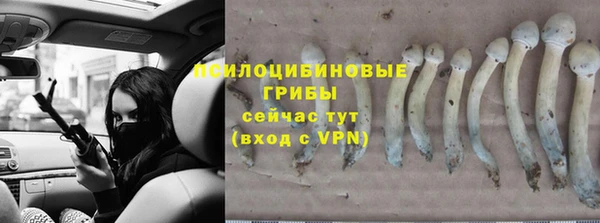круглые Богородицк