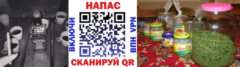 Купить Суджа Шишки марихуана MAZAR