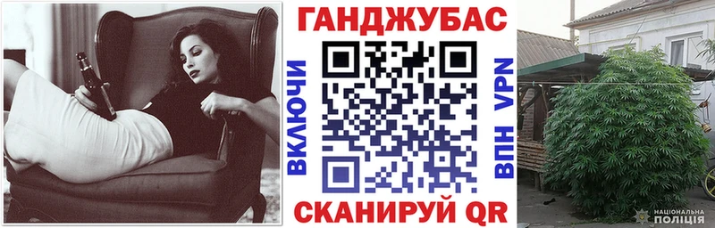 Шишки марихуана сатива Суджа